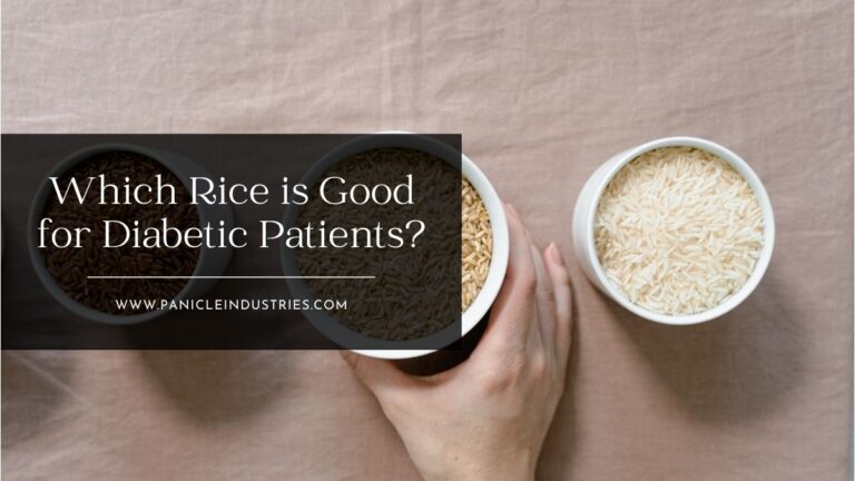 If you are wondering which rice is good for diabetic patients, this blog will help you understand the best options. 