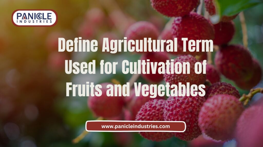 Define Agricultural Term Used for Cultivation of Fruits and Vegetables