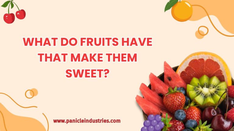 What Do Fruits Have That Make Them Sweet?