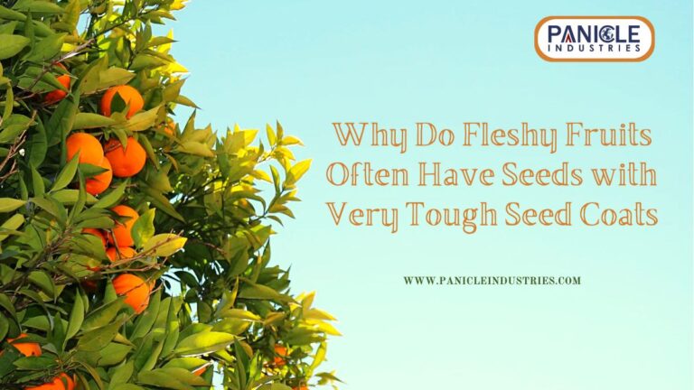 Why Do Fleshy Fruits Often Have Seeds with Very Tough Seed Coats