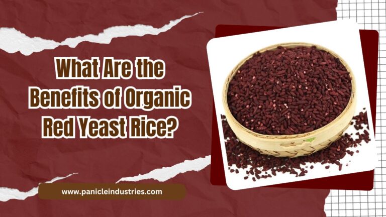 What Are the Benefits of Organic Red Yeast Rice?