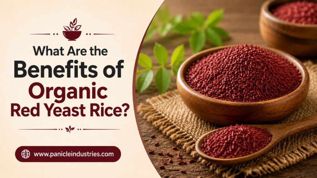What are the benefits of organic red yeast rice?