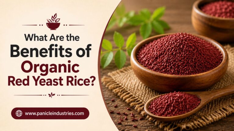 What are the benefits of organic red yeast rice?