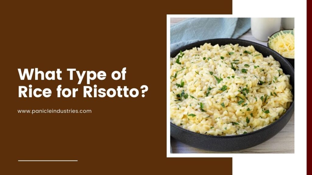 what type of rice for risotto
