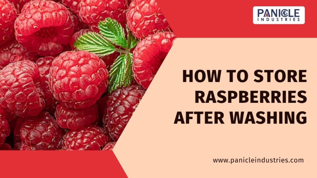 How to Store Raspberries After Washing