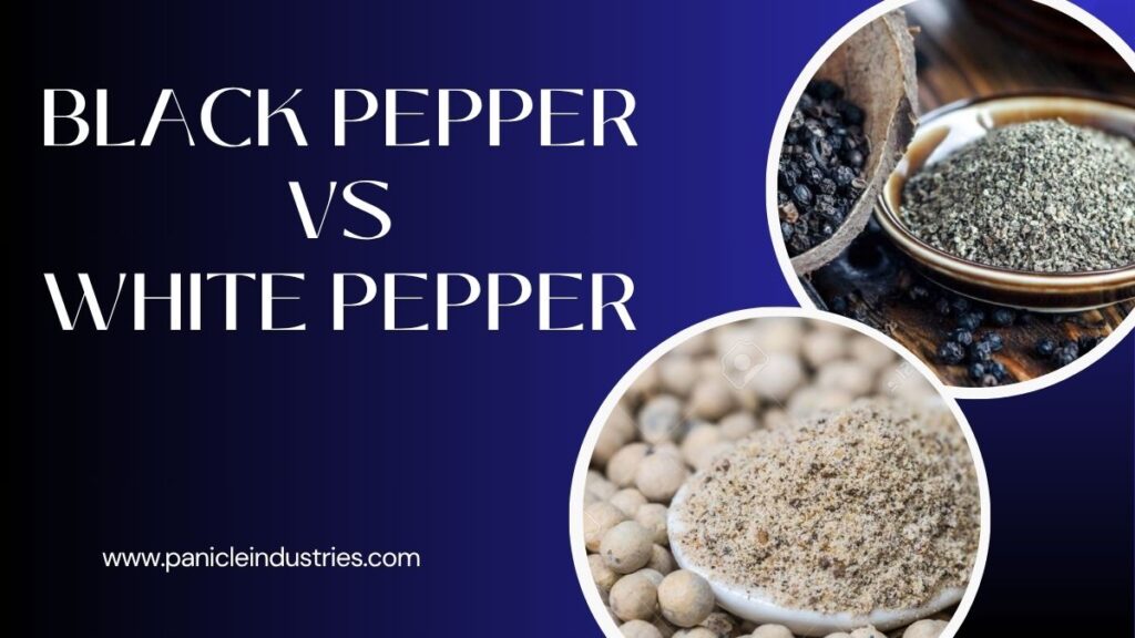 Black Pepper vs White Pepper