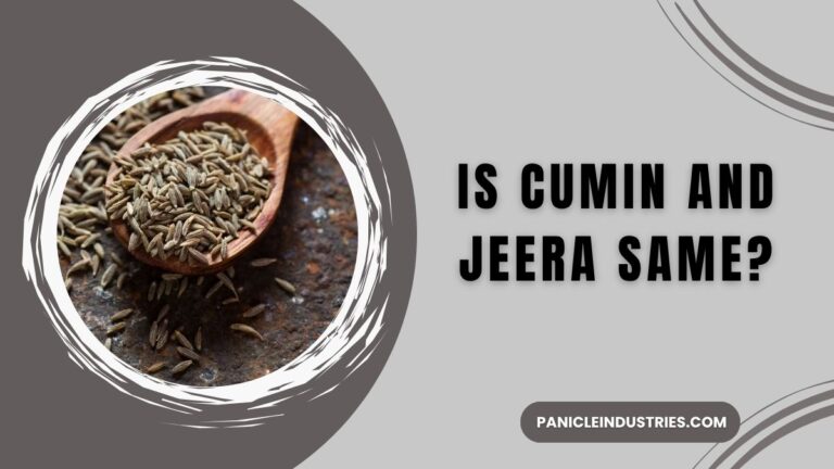 Is Cumin and Jeera Same?