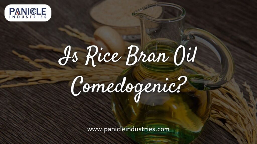 Is Rice Bran Oil Comedogenic?