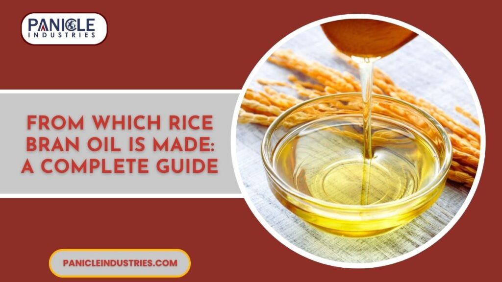 From Which Rice Bran Oil Is Made: A Complete Guide