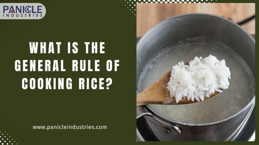 What Is the General Rule of Cooking Rice?