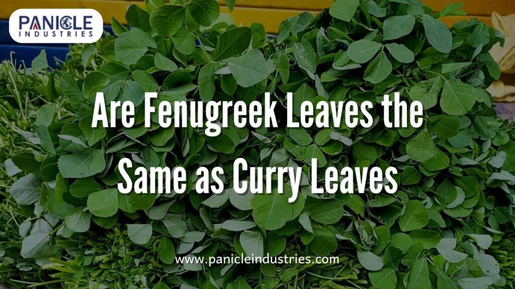 Are Fenugreek Leaves the Same as Curry Leaves
