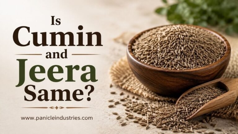 Is Cumin and Jeera Same?