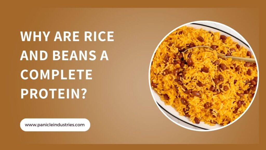 Why Are Rice and Beans a Complete Protein?