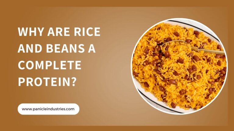 Why Are Rice and Beans a Complete Protein?