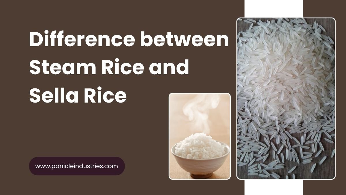 Difference Between Raw Rice Steam Rice And Boiled Rice Difference between Steam Rice and Sella Rice