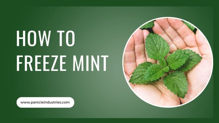 How to Freeze Mint