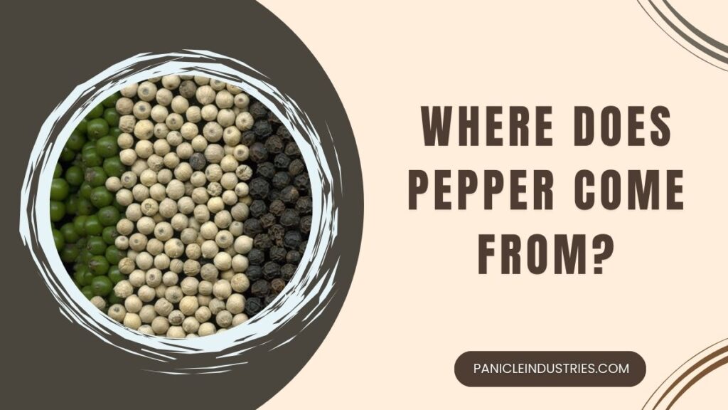 Where Does Pepper Come From?