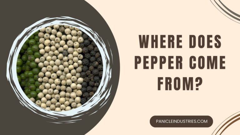 Where Does Pepper Come From?