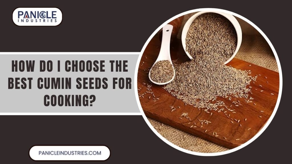 How Do I Choose the Best Cumin Seeds for Cooking?