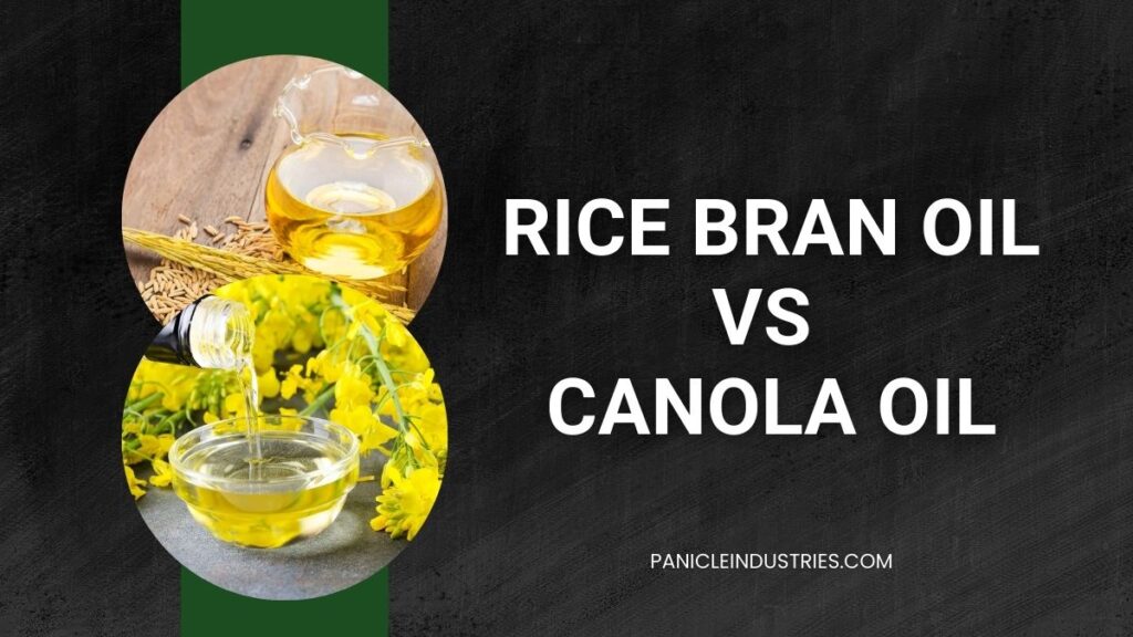 Rice Bran Oil vs Canola Oil