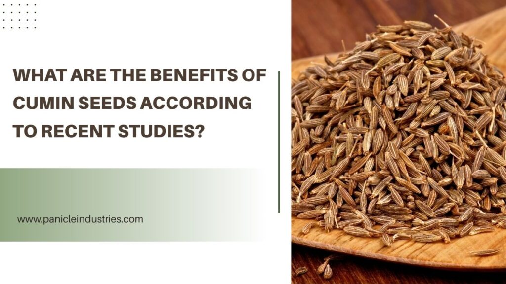 What Are the Benefits of Cumin Seeds According to Recent Studies?