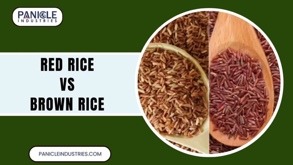 Red Rice vs Brown Rice