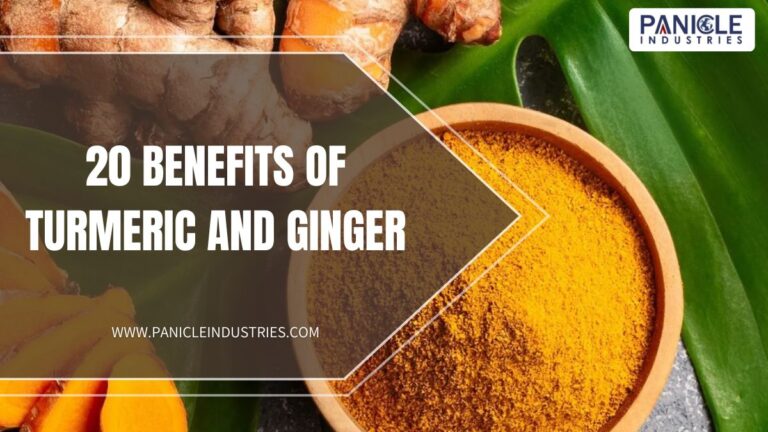 20 Benefits of Turmeric and Ginger