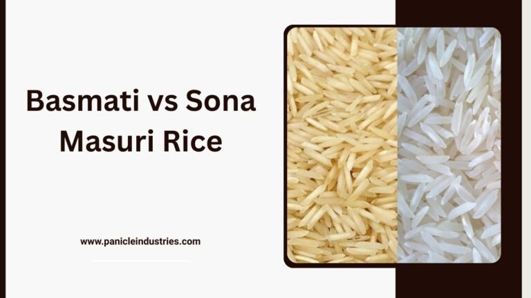 Basmati vs Sona Masuri Rice