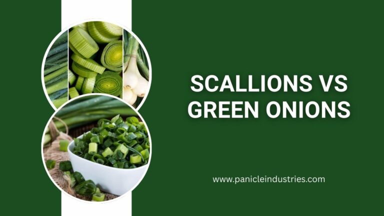 Scallions vs Green Onions