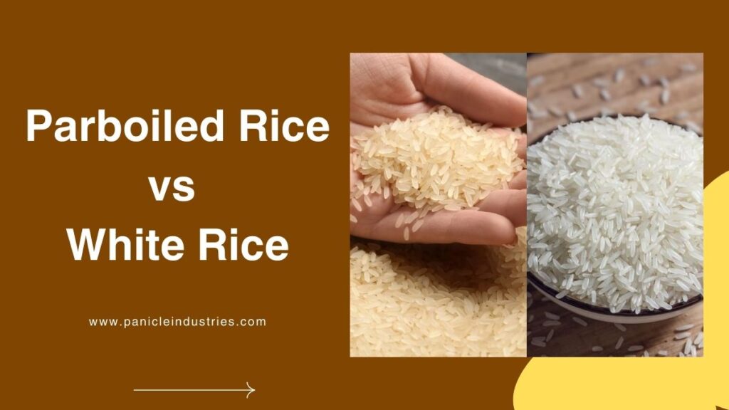 parboiled rice vs white rice