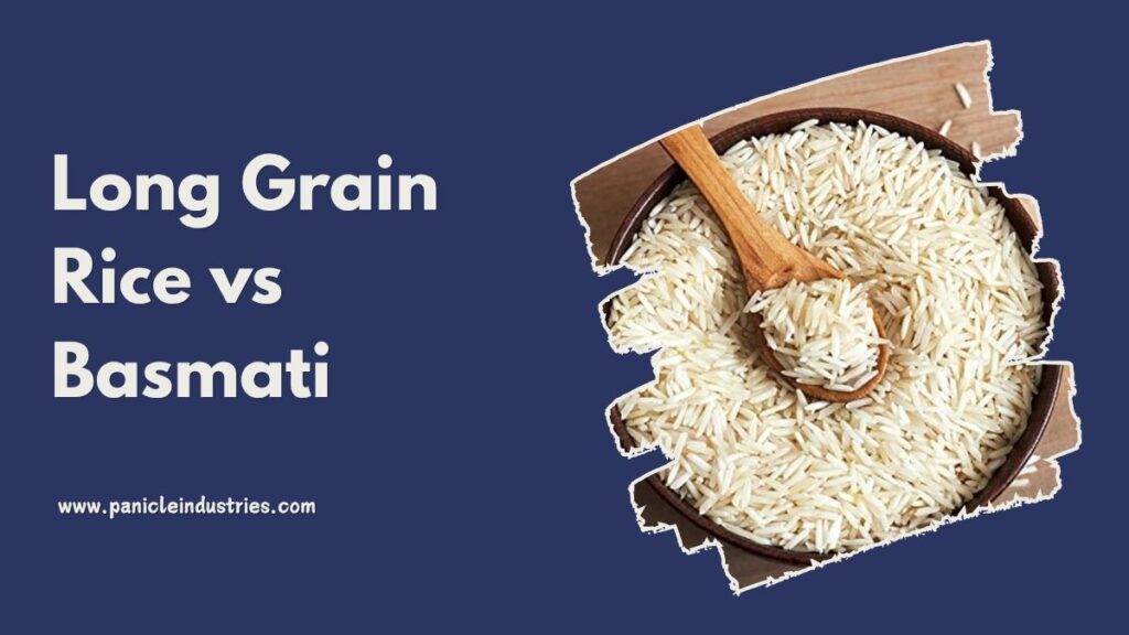 Long Grain Rice vs Basmati