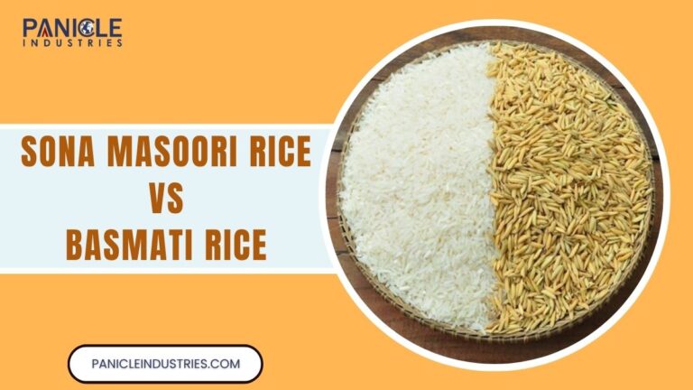 What is The Difference Between Sona Masoori Rice Vs Basmati Rice?