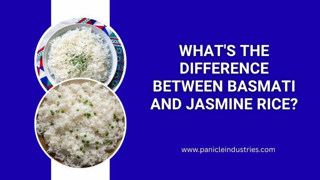 What's The Difference Between Basmati And Jasmine Rice?