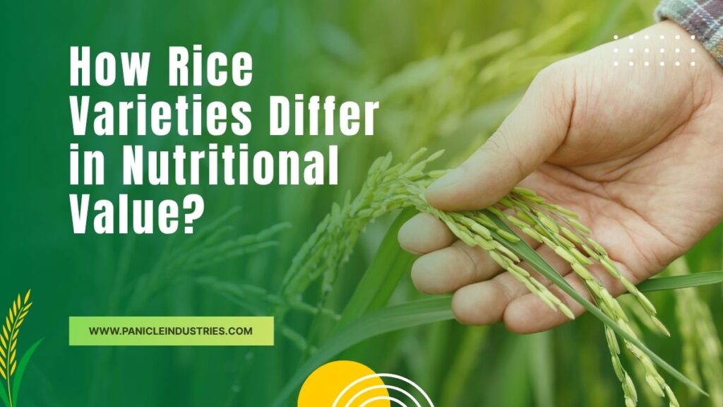 How Rice Varieties Differ in Nutritional Value?