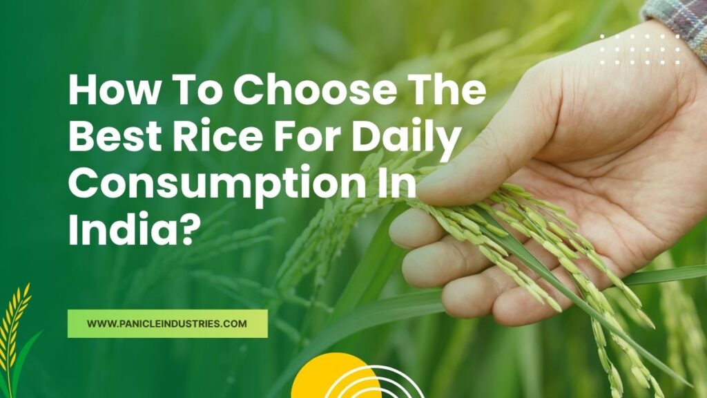 How To Choose The Best Rice For Daily Consumption In India?
