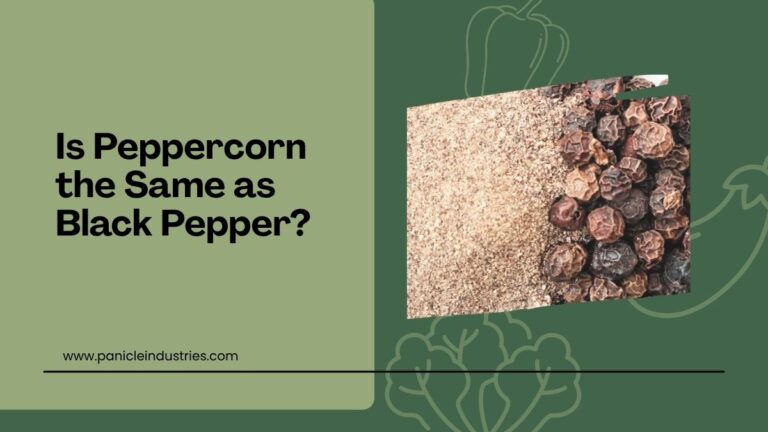 Is Peppercorn the Same as Black Pepper?