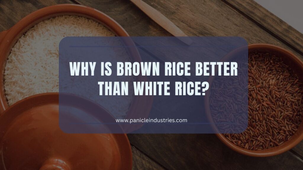 WHY IS BROWN RICE BETTER THAN WHITE RICE?